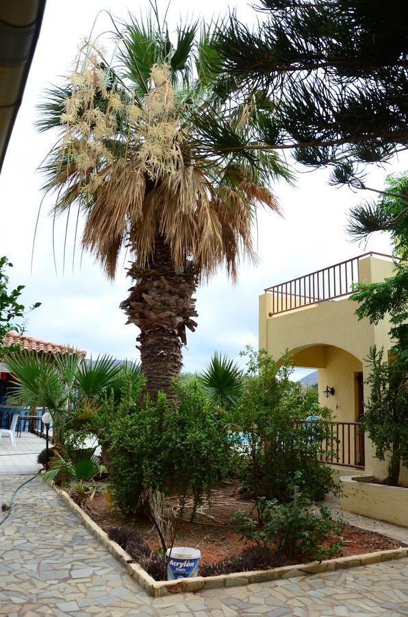 Alex Home Apartments Hersonissos  Dış mekan fotoğraf